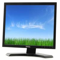 Monitor Display PC Dell P170s 17 pollici