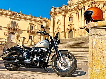 Harley Davidson FLSTSB Softail Cross Bones 1584