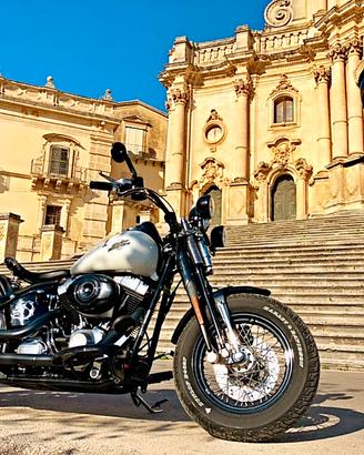 Harley Davidson FLSTSB Softail Cross Bones 1584