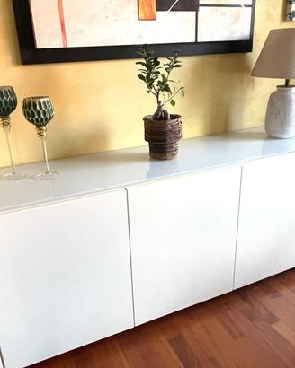 Madia Calligaris