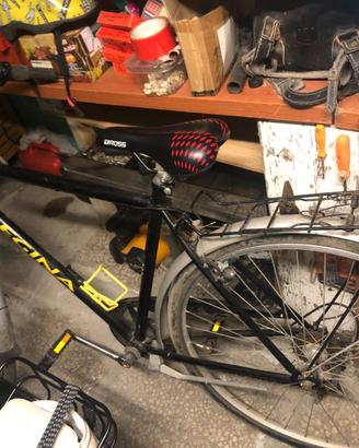 Bicicletta REGINA