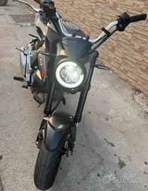 Lem Brutus