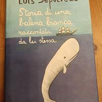 storia di una balena bianca 