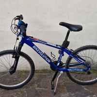 Bici ragazzo 24"