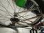 Immagine 2