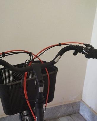 Bicicletta elettrica