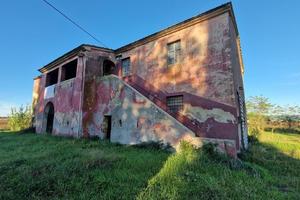 V105 podere con annessi e terreno a scarlino