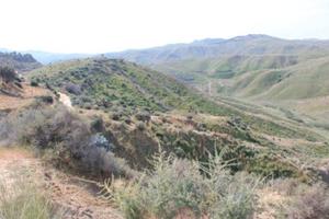 RGE 28/2016 Trib ENNA - LOTTO 2