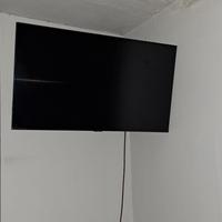 Televisore Samsung 43 pollici