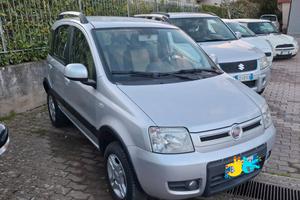 Fiat Panda 1.3 MJT 16V DPF 4x4 Climbing