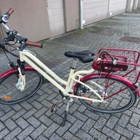 Bici elettrica