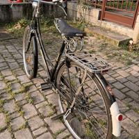 Biciclette uomo e donna