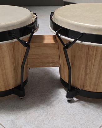 bongo