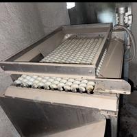 Parti frantoio oleario