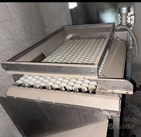 Parti frantoio oleario