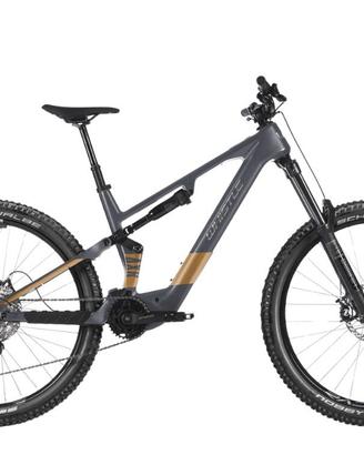 Whistle AXR C6.6