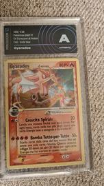 gyarados goldstar autentico ita