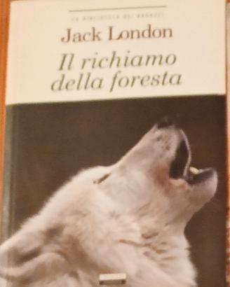n.6 libri vari della collana biblioteca dei ragazz