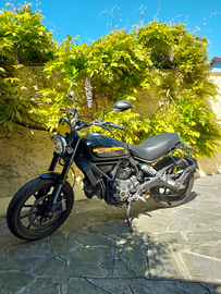 Ducati scrambler full trotter 800