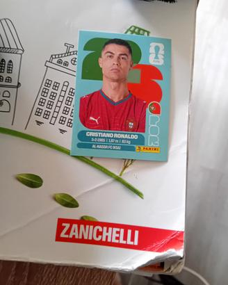 panini figurine