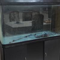 Acquario 300 lt + accessori