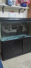 Acquario 300 lt + accessori