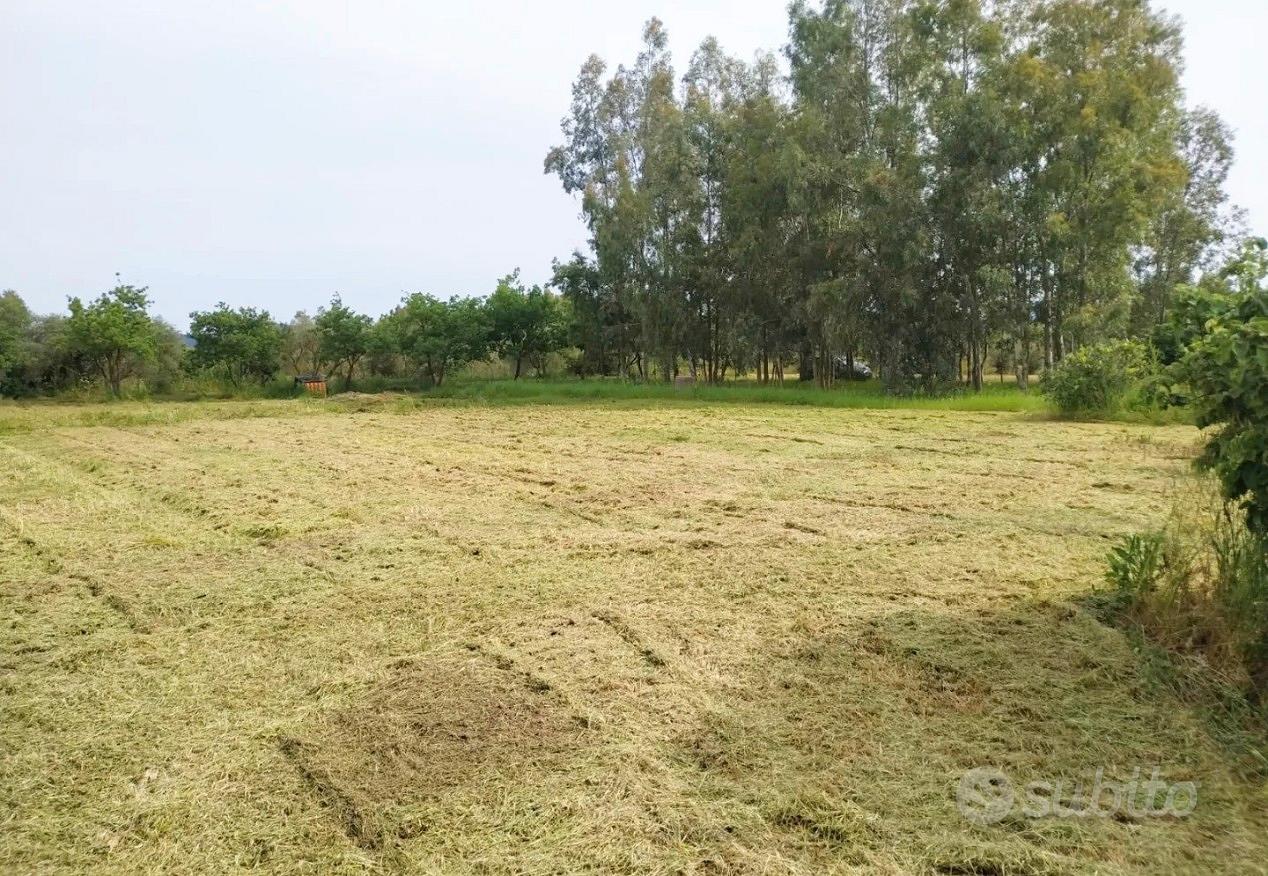 Terreno agricolo - Vista 2