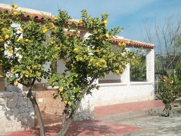 Trilocale per vacanze a Vieste