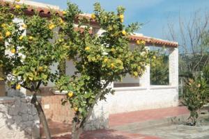 Trilocale per vacanze a Vieste