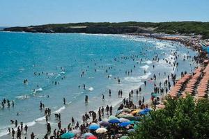 Torre dell'orso 2026