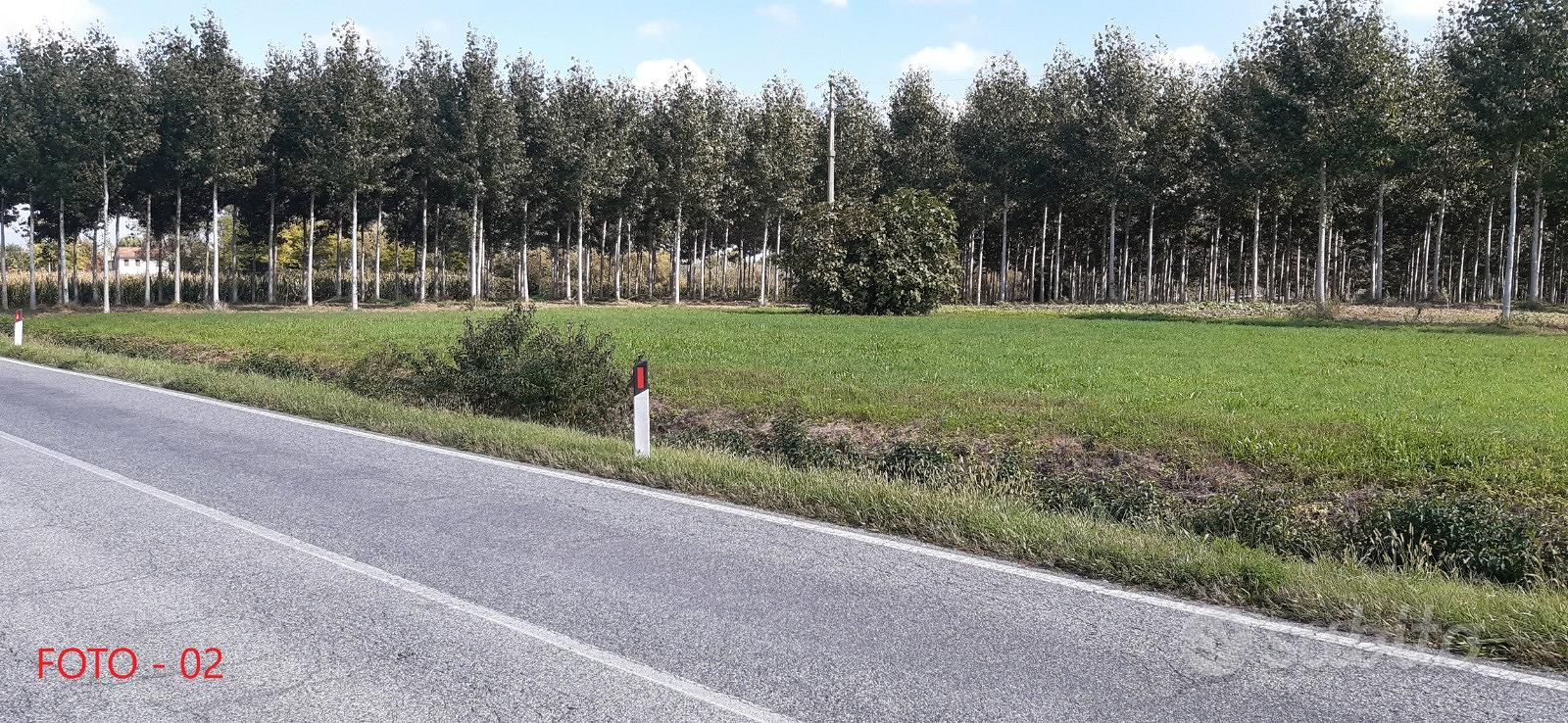 Terreno agricolo - Vista 4