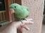 Immagine 1