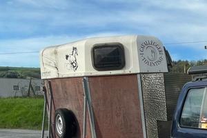 Van/carrello trasporto cavalli