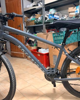 Mountain Bike grigia
