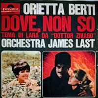 Collezione Orietta Berti dove non so vinile