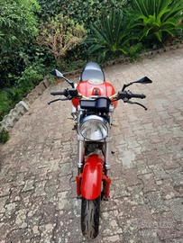 Ducati Monster 900 94