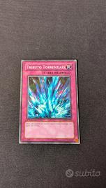 Tributo torrenziale SDDE