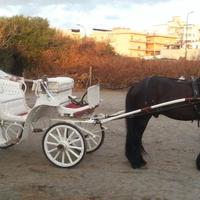 Carrozza victoria