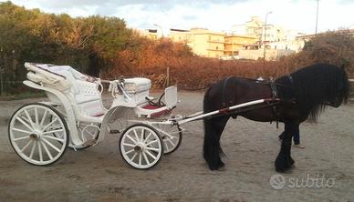 Carrozza victoria