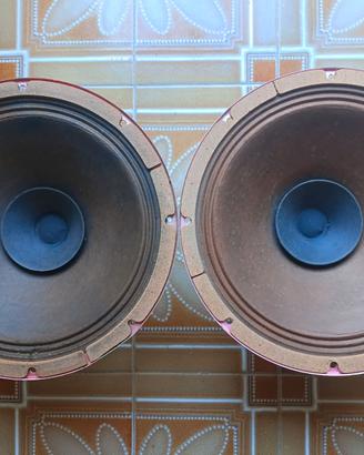 Altoparlanti vintage AD1255/M7