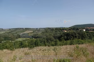 Terreno Agricolo San Vincenzo [A4359762]