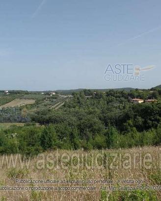 Terreno Agricolo San Vincenzo [A4359762]