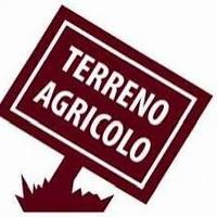 terreno agricolo