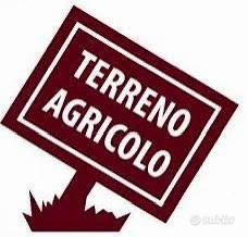 terreno agricolo