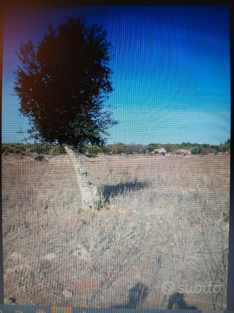 Terreno per agriturismo, capannone o villa - Vista 5