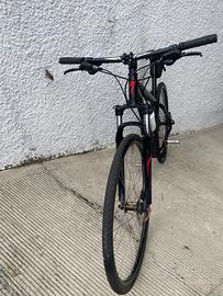 Mtb specialized hard rock