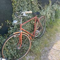 Bicicletta uomo