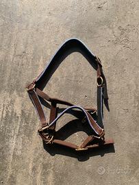 Cavezza per Cavalli