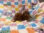 Immagine 10