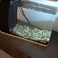 Acquario d arredo